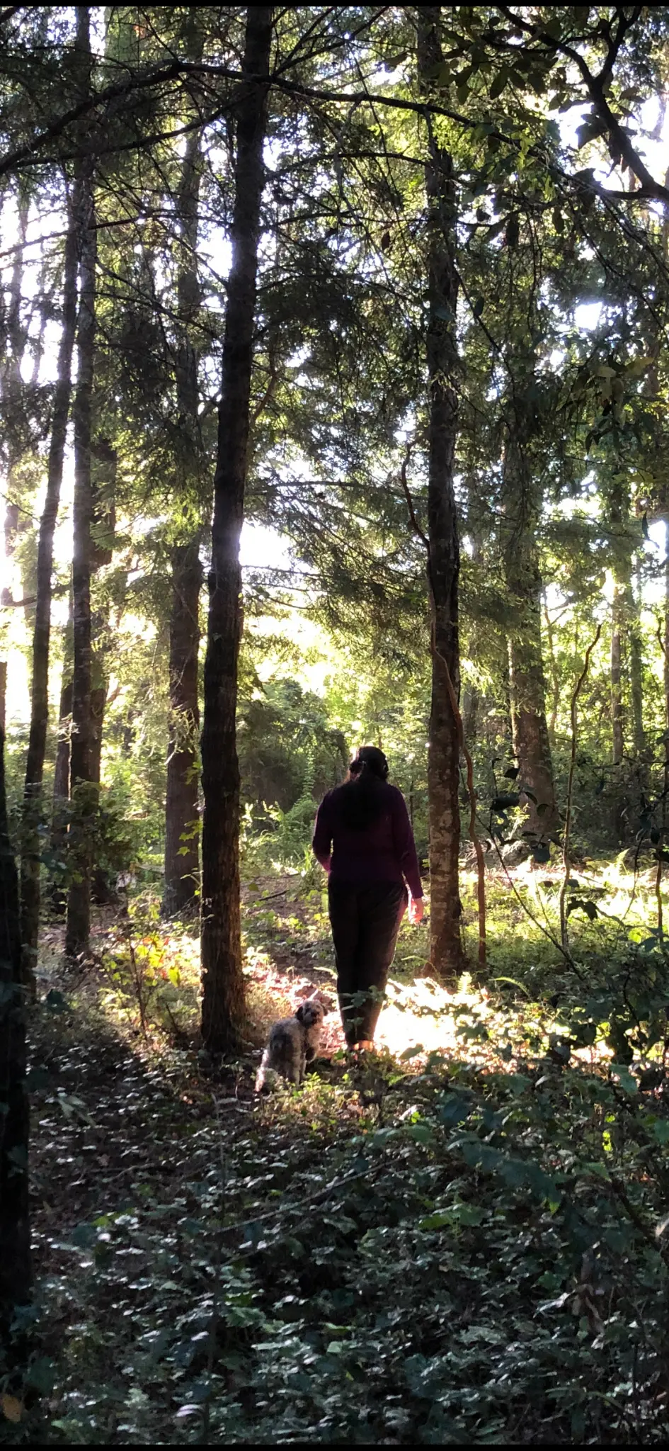 Betsaida caminando por el bosque junto a su perro